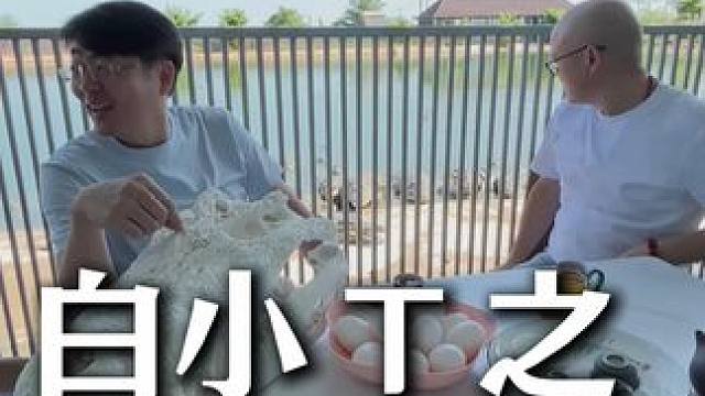 白小T老总也体验了一次如何挖鳄鱼蛋 #白小t #鳄珍 #鳄鱼养殖场