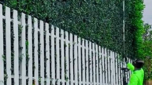 舒服爽就完事了！ #解压#园林修剪#解压视频#拆除情绪隐患找回开心