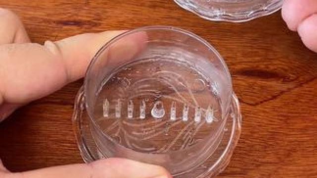 这个小小研磨器，用起来还真挺方便的！磨完可以直接当个蘸料碟用！平时想喝个姜茶用起来也特别方便！#姜蒜