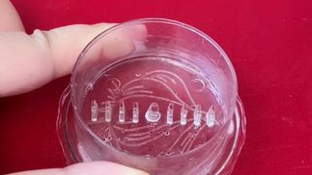 家用塑料捻蒜盒 #压蒜器  蒜泥器 蒜蓉器 捻蒜盒 搅蒜器 厨房创意小工具 #赫泥神器