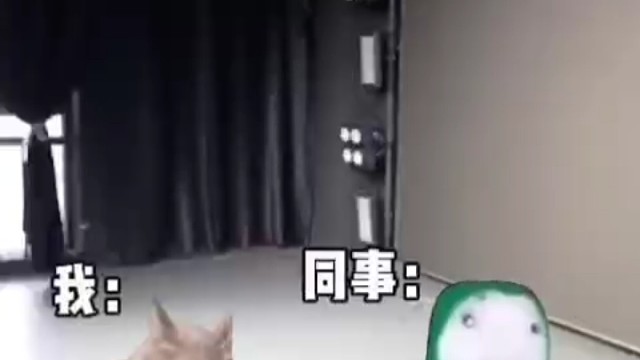 00后勇闯媒体公司