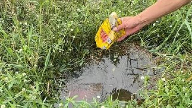 钓鱼要打窝！#钓鱼的乐趣只有钓鱼人懂 #钓鱼技巧 #钓鱼人