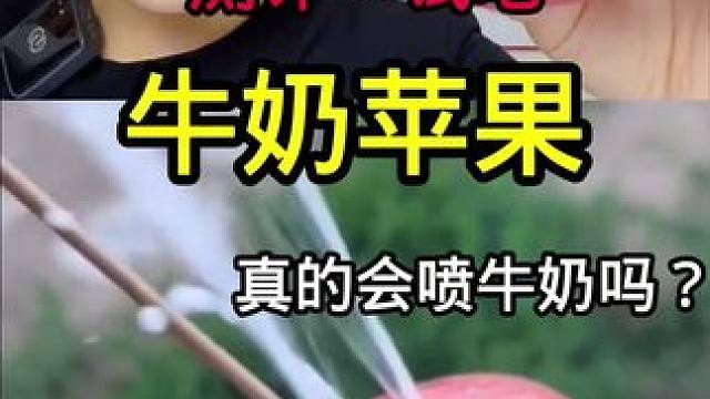 #测评 #打假 #试吃