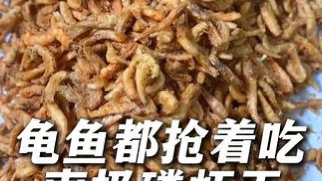 龟鱼都抢着吃的南极磷虾干。 #喂龟 #喂鱼 #龟粮 #养龟 #养龟日常