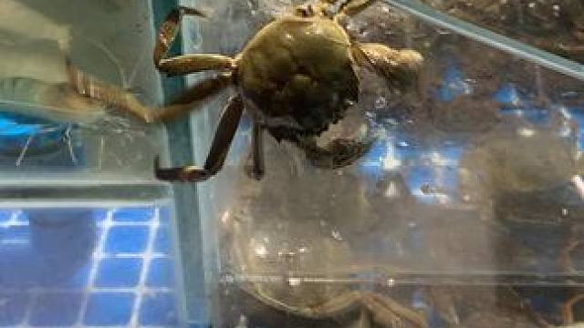 加油，别放弃，努力一下就上岸了 #高考 #加餐 #自助餐 #金榜题名 #学生时代