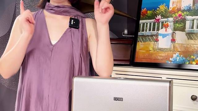 国货经典DOSS全景声音响