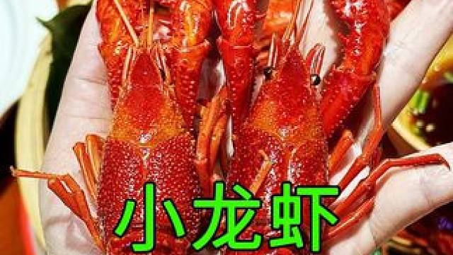 小龙虾的秘密，养殖过程大开眼界 