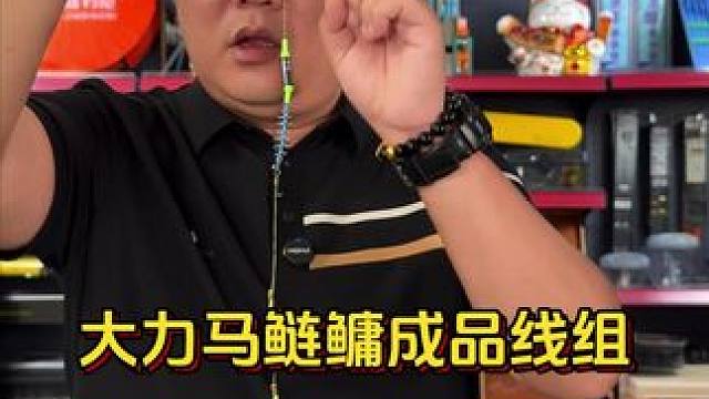 大力马鲢鳙主线套装 喜欢抽鲢鳙，但是技术一般，那就选择这款大力马弹簧鲢鳙主线，照样可以连杆上鲢鳙。#