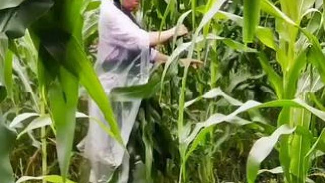 我发布了一个新视频，快来围观吧！