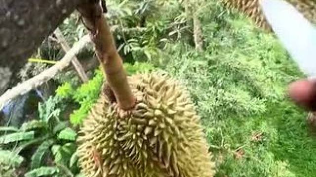 我发布了一个新视频，快来围观吧！