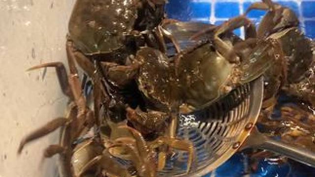 高考结束，加个餐吧 #加餐 #自助餐 #海鲜 #同城好店推荐 #高考