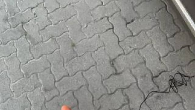 这个车载LED屏 不得把我朋友迷成制杖 #玩个很新的东西  #车载好物