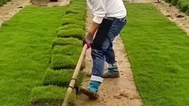 #我的世界 #Minecraft