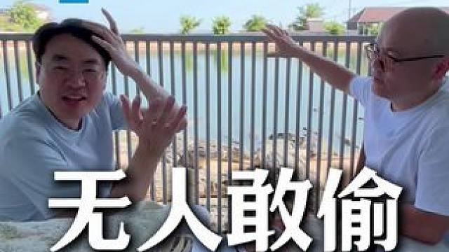 到底是什么东西谁也不敢觊觎，鳄鱼守护的到底是什么东西？ #鳄珍 #白小T #鳄鱼养殖场