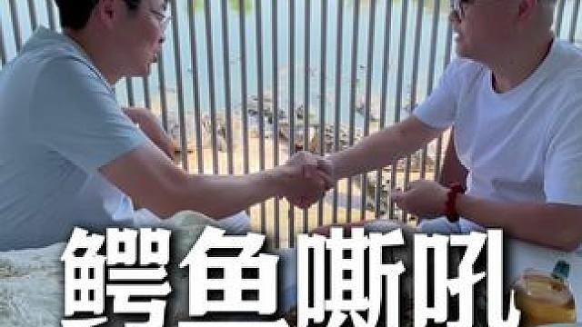 白小T老总震惊鳄鱼的吼声，原来那么可怕 #鳄珍 #白小T #鳄鱼养殖场