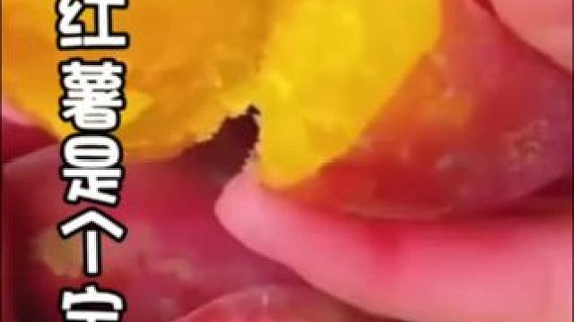 红薯—太爱你了 