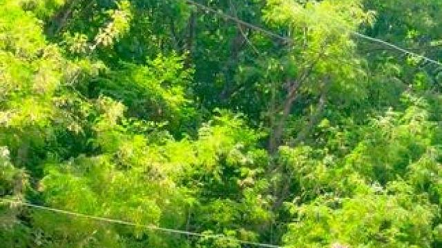 愿我们都能在平淡的日子里有幸被爱❤️#露营野炊 #自驾露营 #日常vlog #记录生活