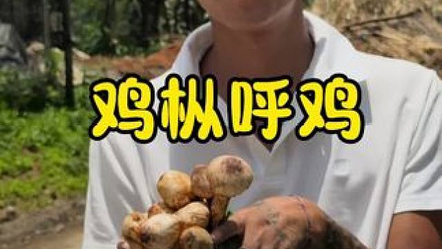 鸡纵烀鸡#农村生活#回村后的我#新农人2025计划