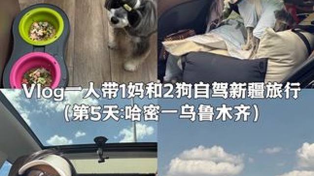 Vlog.232｜一人带1妈和2狗自驾新疆旅行 用的是Za防晒霜 #自驾游#带狗旅行#vlog日常#