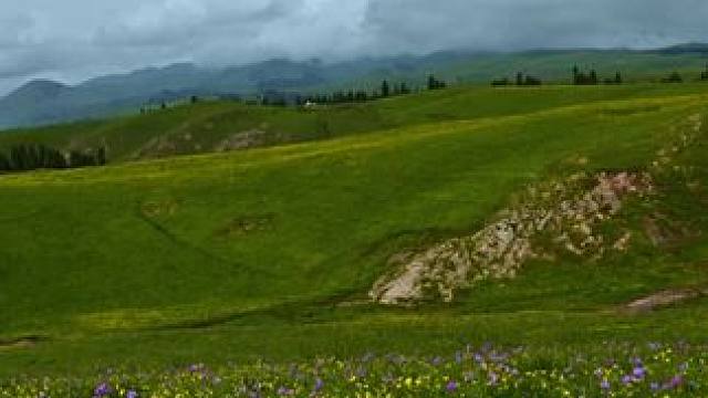 新疆伊犁州特克斯县阿克塔斯草原景色 #伊犁 #阿克塔斯草原
