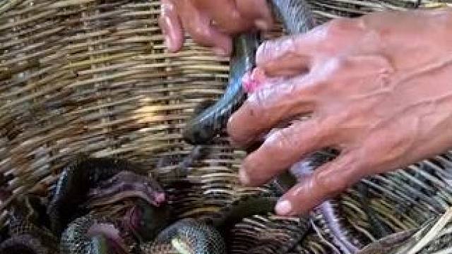 东南亚特色美食 #我的乡村生活 #原创视频 #农村美食记录生活 #国外美食分享