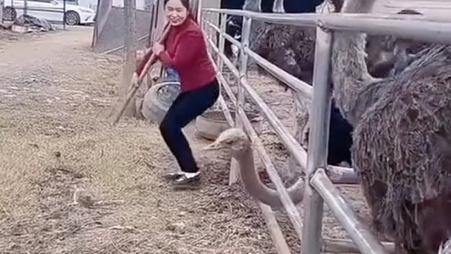 这就是所说的声东击西[捂脸]