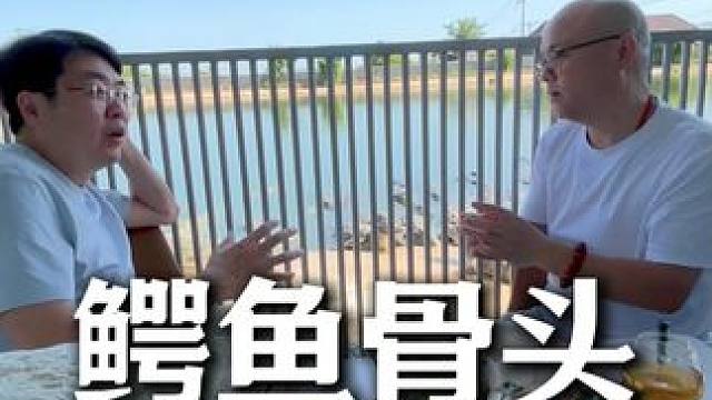 鳄鱼的价值比老虎强得不是一星半点 #鳄珍 #白小T #鳄鱼养殖场