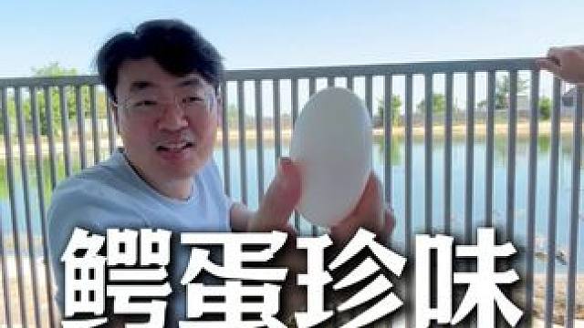 鳄鱼蛋的价值是你无法想象的 #鳄珍 #白小T #鳄鱼养殖场