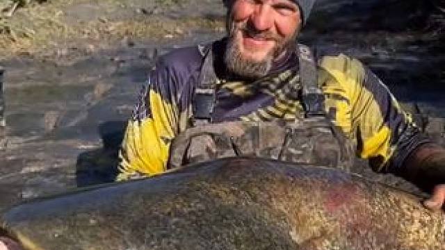 老哥钓到一条巨鲶 #国外视频分享 #好大一条鱼 #钓鱼