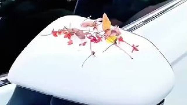 汽车后视镜太单调？贴上这个马力感觉大了不少 #汽车好物 #汽车好物推荐 #汽车后视镜贴纸