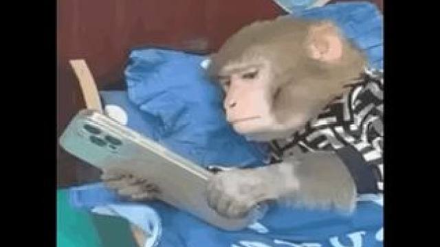 近视加散光的世界 #近视 #散光 #娱乐评论大赏