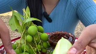 酸野芒果 #口感特別好 #優(yōu)質(zhì)農(nóng)產(chǎn)品 #嘎嘎好吃 #家鄉(xiāng)特產(chǎn) #軟糯香甜