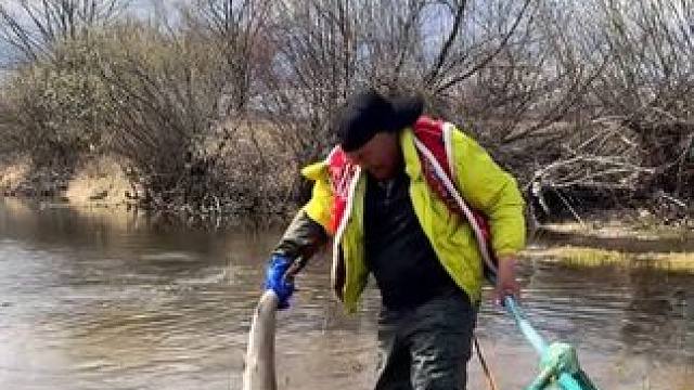 #捞鱼网 #抓鱼方法