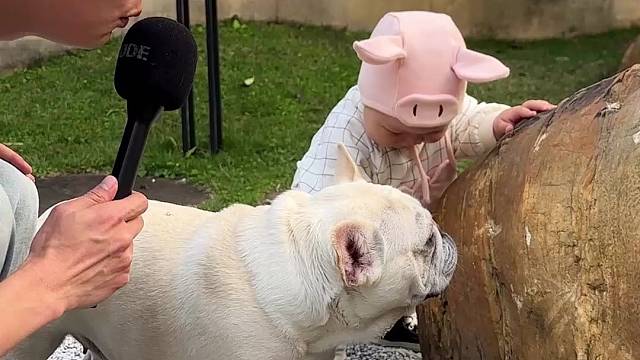 采访界天花板！人类幼崽的反应我直接笑喷