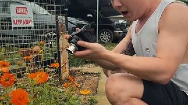 沧野新一代“高”清王！ #沧野影像 #摄影