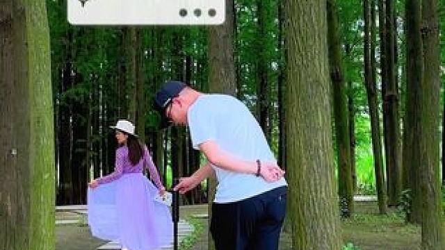 小树林游玩如何自拍唯美小短片，一个自拍杆一部手机轻松几步教会你#手机摄影拍摄 #小树林怎么拍 #逗映