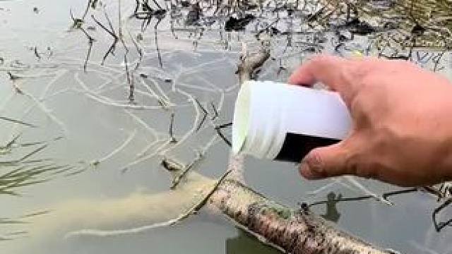 翻车是不可能的#钓鱼 #钓鱼人就是这么疯狂 #钓鱼的乐趣只有钓鱼人懂 #钓鱼技巧