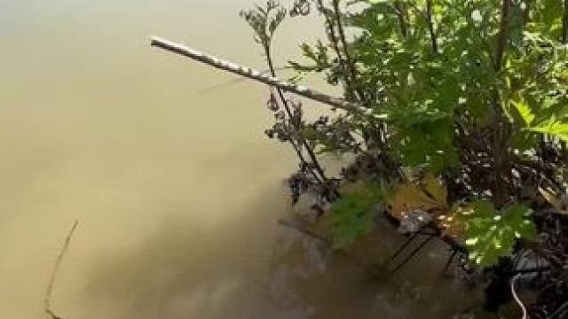 这味型怎么样#钓鱼 #钓鱼的乐趣只有钓鱼人懂 #钓鱼人就是这么疯狂 #钓鱼人 #钓鱼技巧