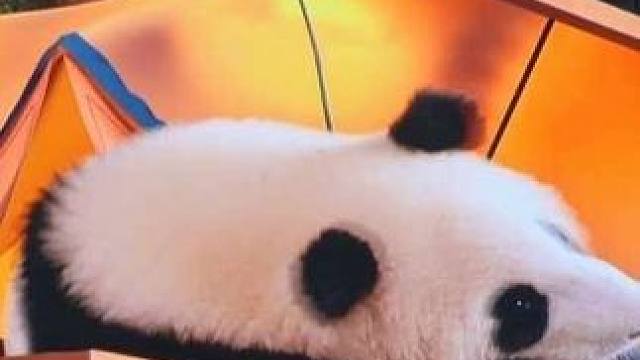 成都一定是你来了就不想走的城市#富力酒店 #成都旅游 #成都旅行攻略 #成都酒店推荐 #成都