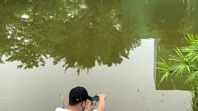 遇到有水的地方试试这样拍水面倒影颠倒世界#手机摄影 #拍摄技巧 #水面倒影 #颠倒世界 #治愈系风景