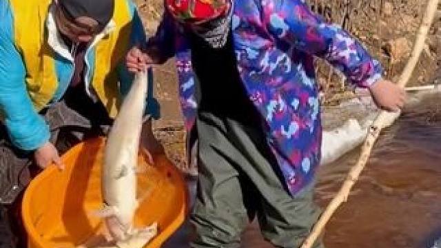 #原来抓鱼也可以很轻松