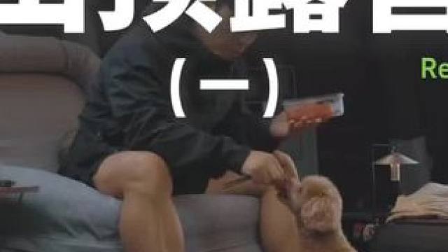 山顶露营（一）没事做就带着狗子去山顶度周末贝~#露营 #助眠 #解压 #萌宠 #户外露营