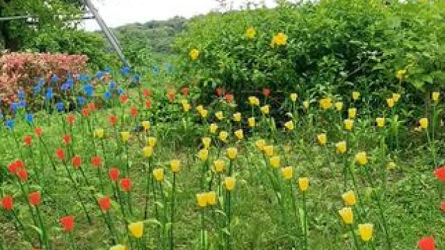 #农村生活 #小仙女都在喝什么