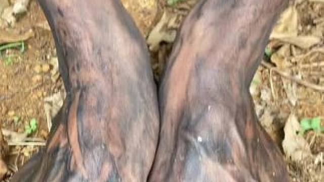 嘟嘟来了 #我的乡村生活 #优质农产品 #日常生活 #农村美食记录生活