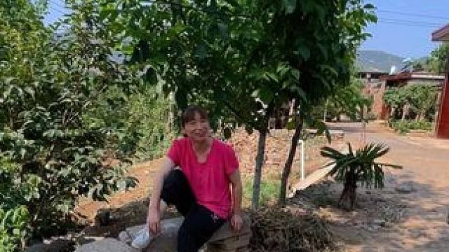 村里的风景，虽平淡，但耐看。也许生活并不便利，却最温暖的治愈。长大后才明白，平凡无奇的小村里藏着最惬