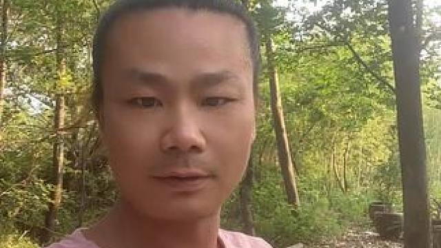 #别墅庭院植物 #老桩盆景 #园艺 #大量供应绿化苗木供