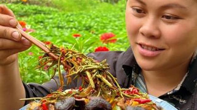 今天去摘些野生菌和蕨菜做一餐好吃的 #美食 #野菜 #农村生活