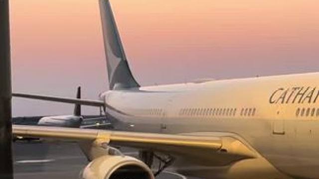 我在风花雪月里等你——叶芷 “米高，如果你的人生再无高飞的希望，那你就带我走吧……让我做你的翅膀，去