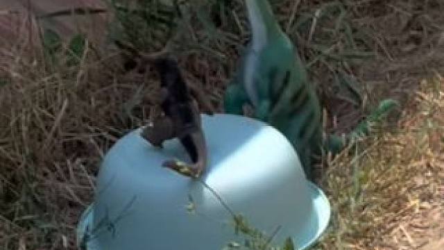 奥特曼被大恐龙用洗脚盆给扣住了#儿童玩具 #奥特曼玩具 #奥特曼