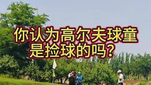 高尔夫球童是捡球的吗？#斗禾 #正解高尔夫 #高尔夫教学 #高尔夫球 #高尔夫球童